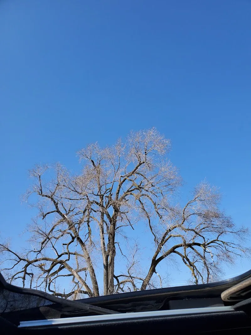 MercyOne Des Moines Behavioral Health Care - Ảnh 4