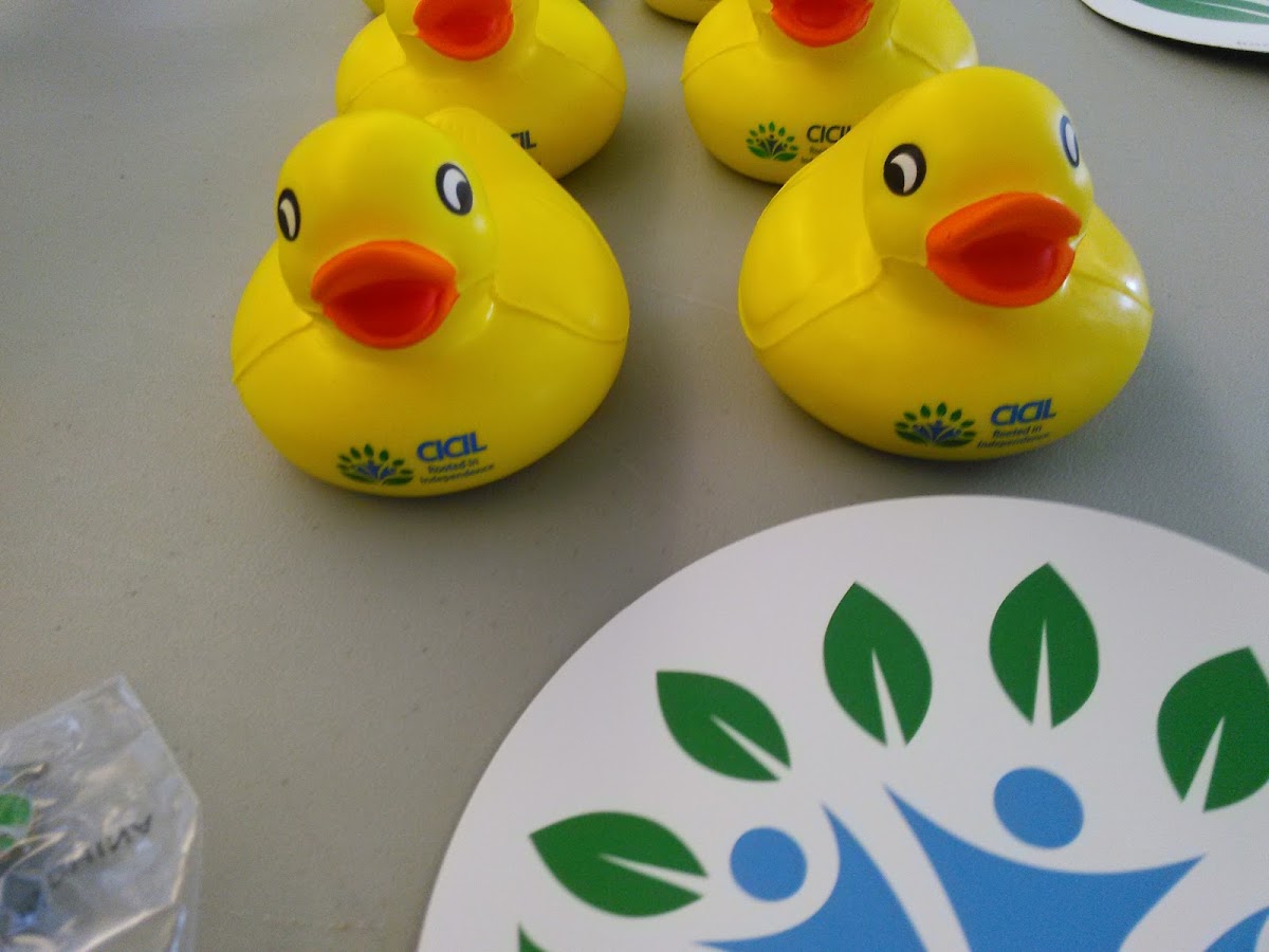 Central Iowa Center for Independent Living - Photo 4