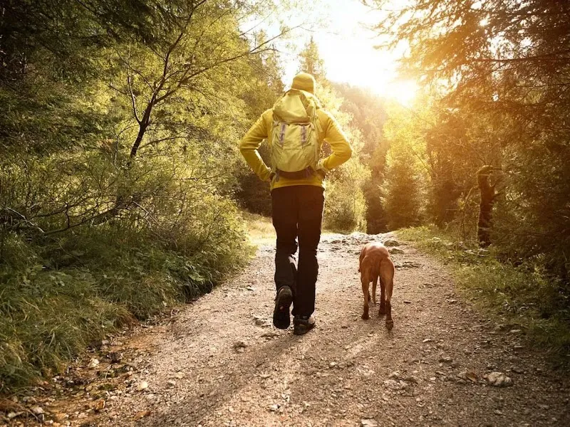 Unity House of Davenport - Photo 4